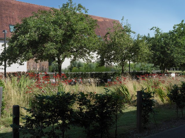 220725-AZINCOURT_1113_bd.jpeg