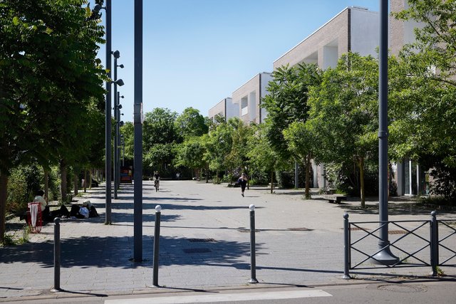 260527-PLACE MÉD-944A1619 B_bd.jpeg