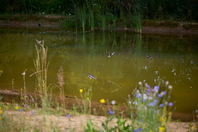 260702-NOEUX-944A1975@0,5x.jpg