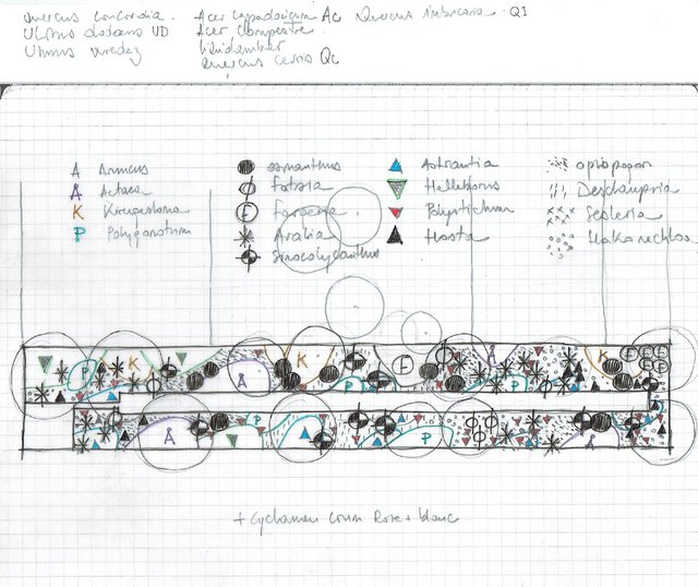 191217-JARDIN A_bd.jpeg