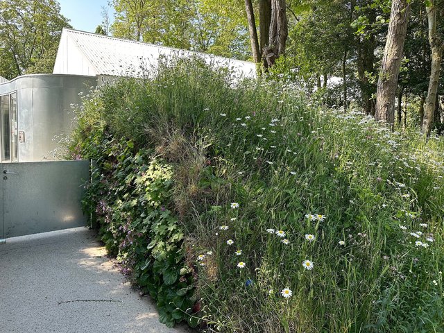 SALLAUMINES-IMG_6666_bd.jpeg