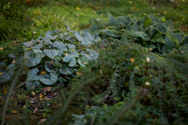 261016-SALLAUMINES-944A2281_bd.jpeg