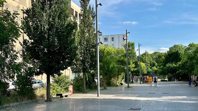 260720-MED-IMG_9857_bd.jpeg