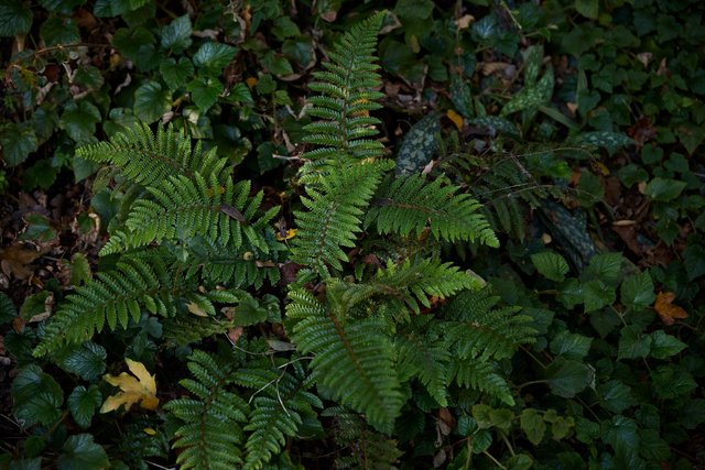 261016-SALLAUMINES-944A2285_bd.jpeg