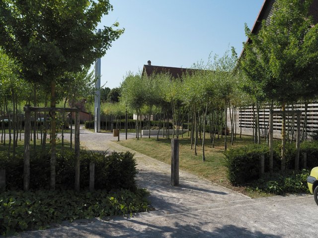 220725-AZINCOURT_1106_bd.jpeg