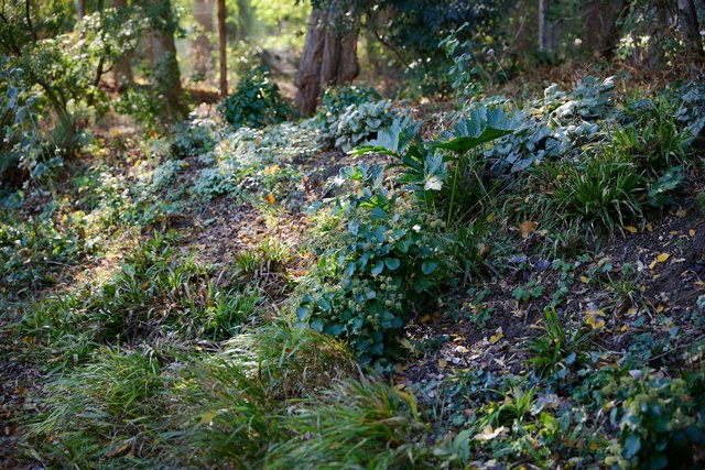 261016-SALLAUMINES-944A2286_bd.jpeg