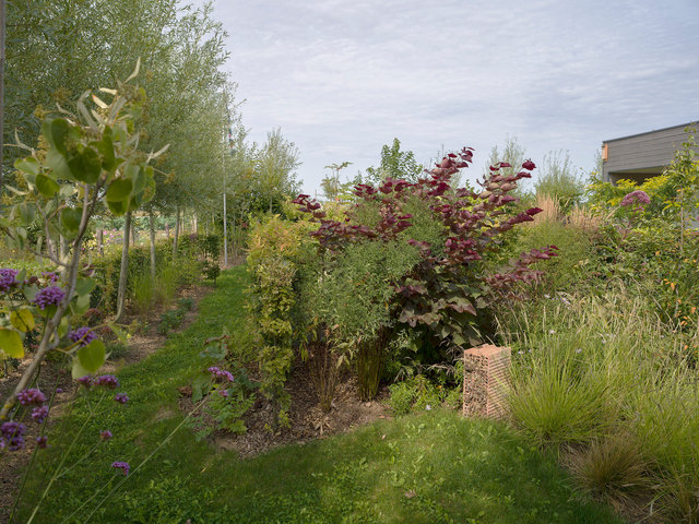 210820-DELECOURT_1396 B BD.jpg