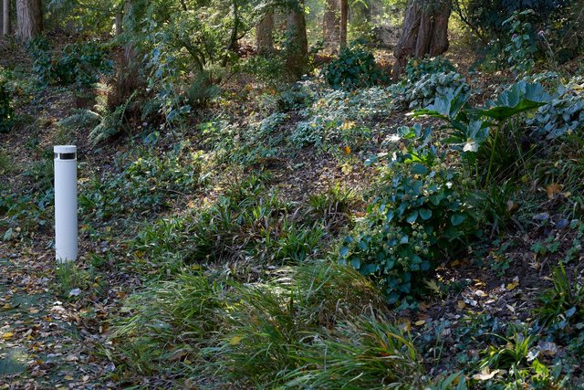 261016-SALLAUMINES-944A2289_bd.jpeg