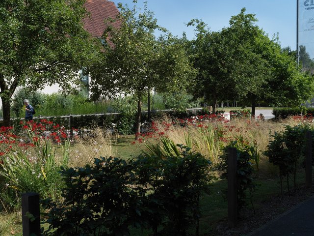 220725-AZINCOURT_1112_bd.jpeg