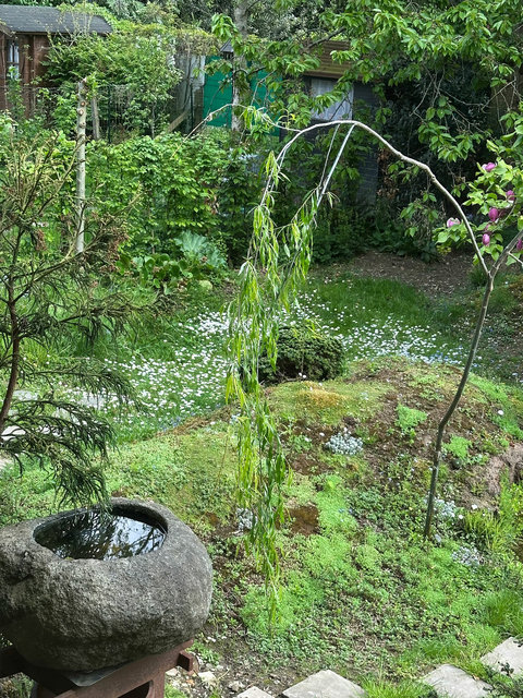 261009-KIYOMI-IMG_8554_bd.jpg