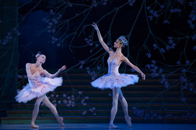 "Sleeping Beauty" Marcia Haydée. The Royal Swedish Ballet.