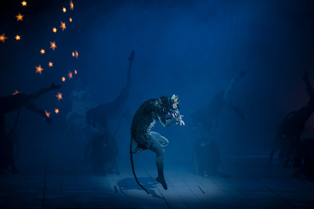 "The Nutcracer" Pär Isberg. The Royal Swedish Ballet.