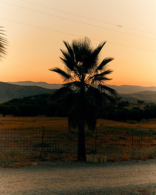 3M8A6689 copy boom.jpg