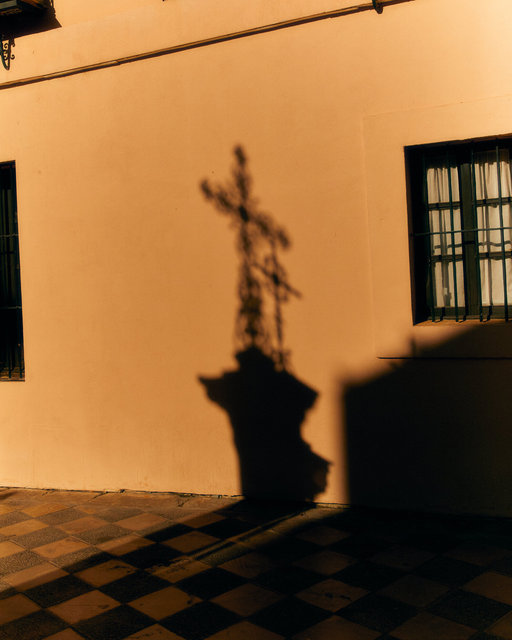 Seville_Sep_2023 7.jpg