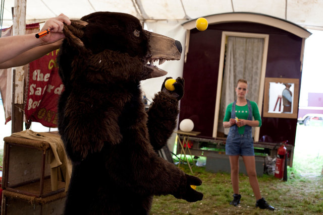 Giffords Circus