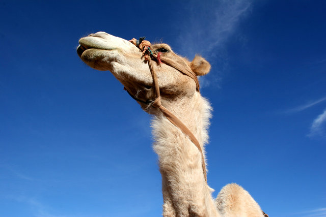 maroc_resize-7064.jpg