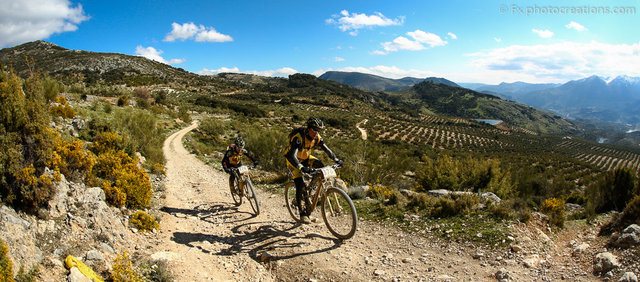 Andalucia06412.jpg