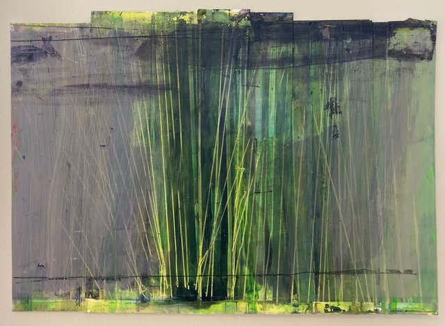 Thicket