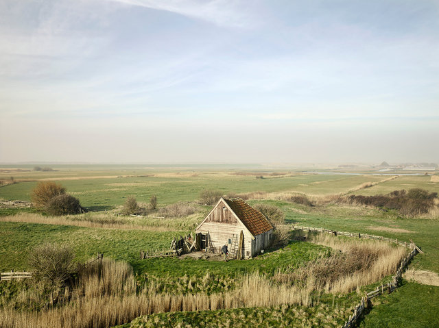 Texel_isolate_89777 B new_zonderbanding.jpg