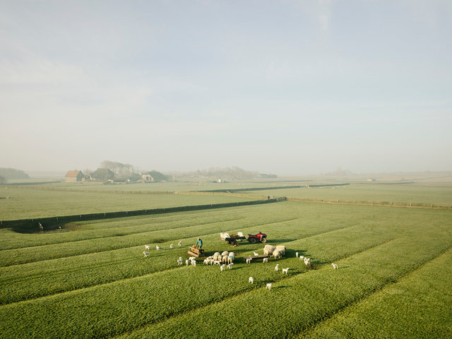 Texel_Waddel_2_89756 B.jpg