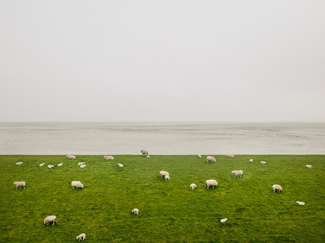 Texel_Wad_CF089723 C.jpg