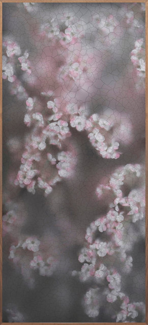 Blossom © Casper Faassen