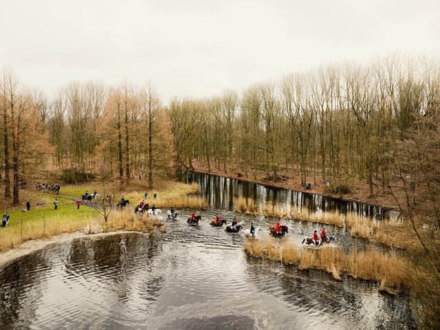 Amsterdamse Bos from the series Park © Jeroen Hofman