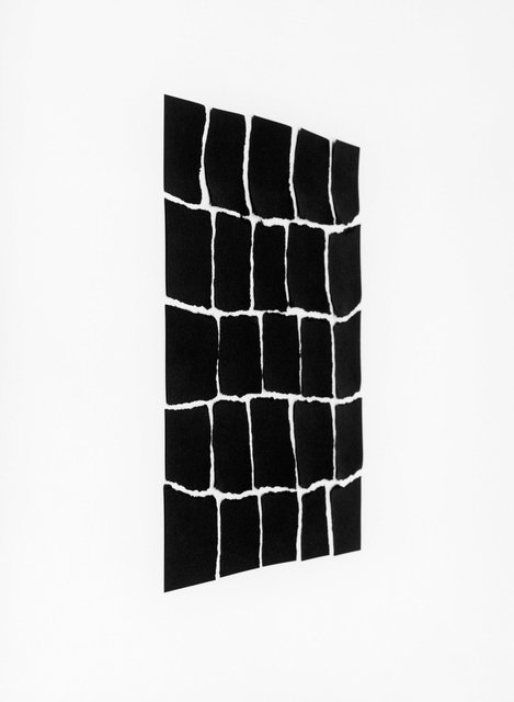 Torn © Rogier Houwen