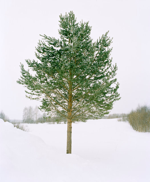 049_02.jpg