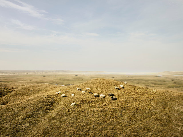 Texel_Slufter_89469 C.jpg