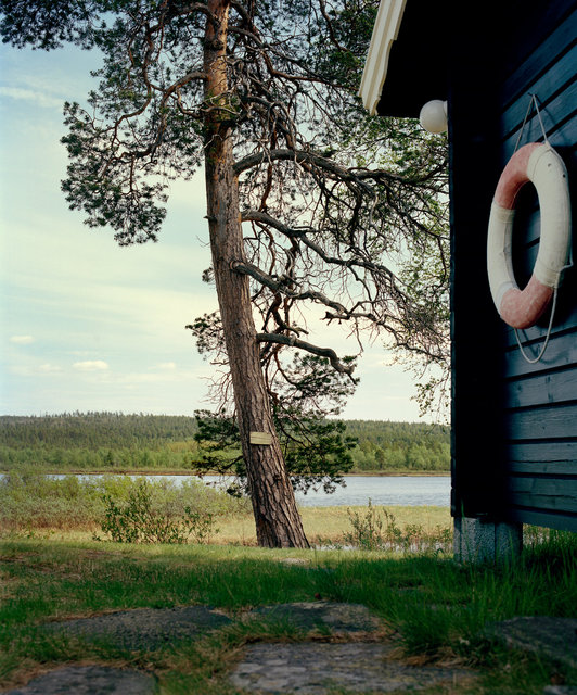 Jeroen Toirkens, Norway 1, 2016.jpg