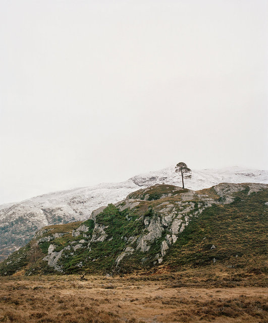 Jeroen Toirkens, Scotland 3, 2017.jpg