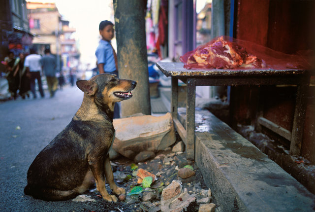 Lhasa, Tibet