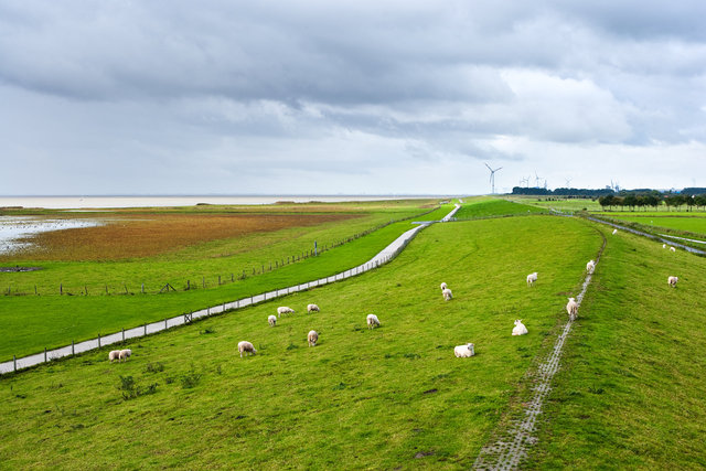 De Waddenzee, The Netherlands