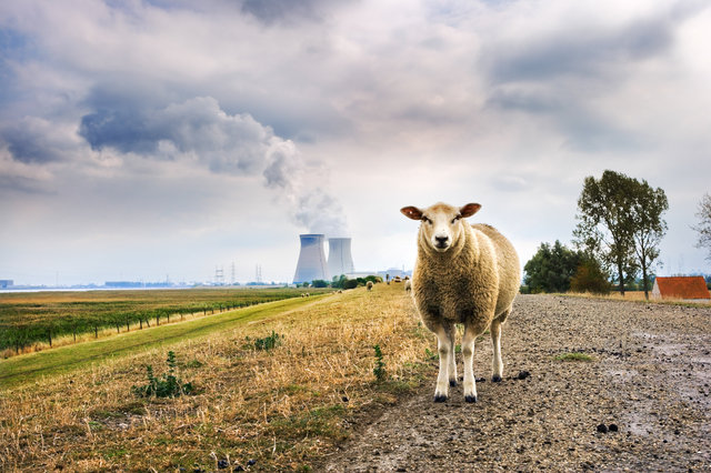 Hedwigepolder, The Netherlands