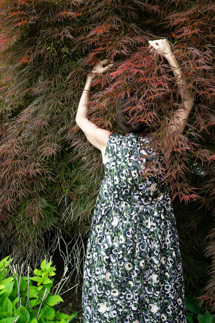 Dissolve-JapaneseMaple2.jpg