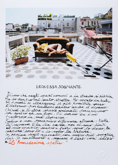 1LeonessaSognanteL1080038.jpg