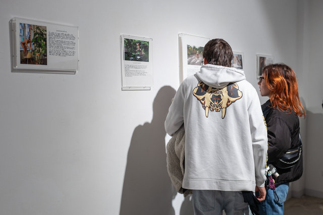 L1620326.jpg
