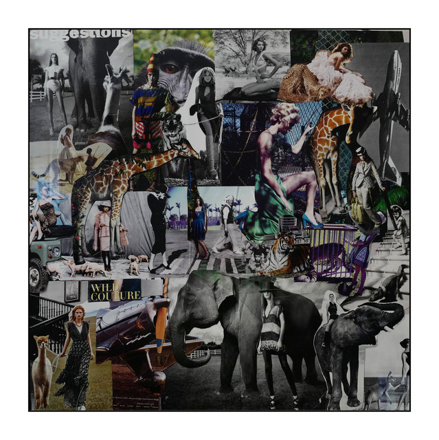 collage2.jpg