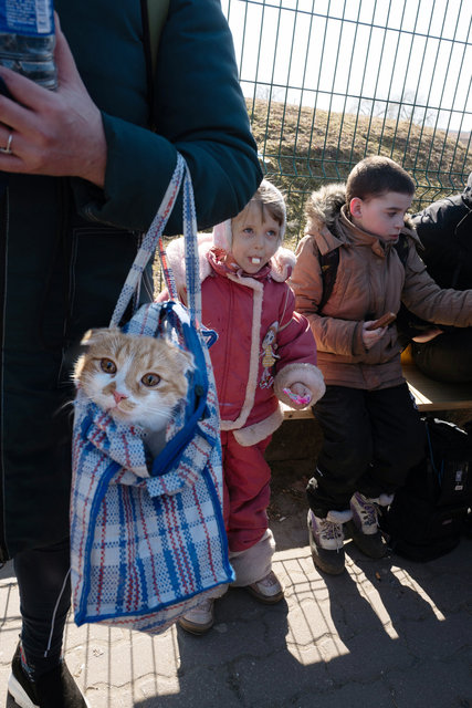 Molti profughi lasciano le loro case portando con sé i propri animali– Corridoio umanitario – Confine di Medika.jpg