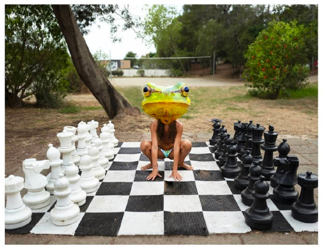 Check mate Frog