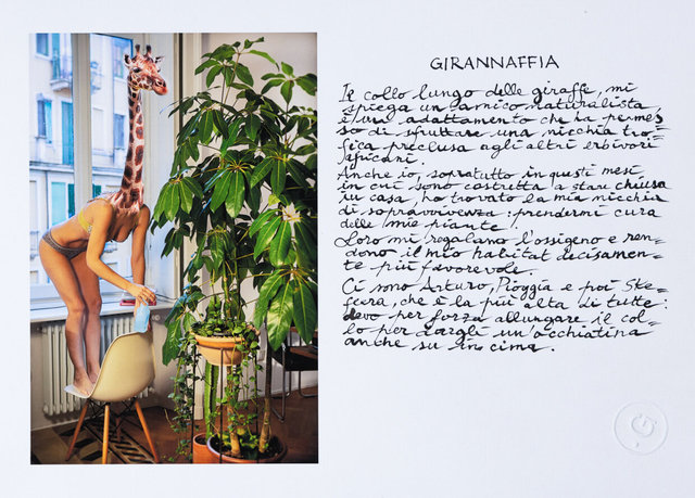 11GirannaffiaL1080025.jpg