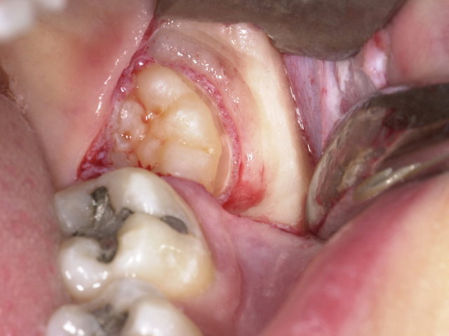 CLINICDENT | Auftrag