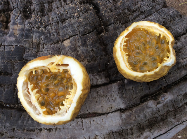 Granadilla macht glücklich ✓