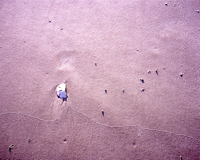South Cut Beach