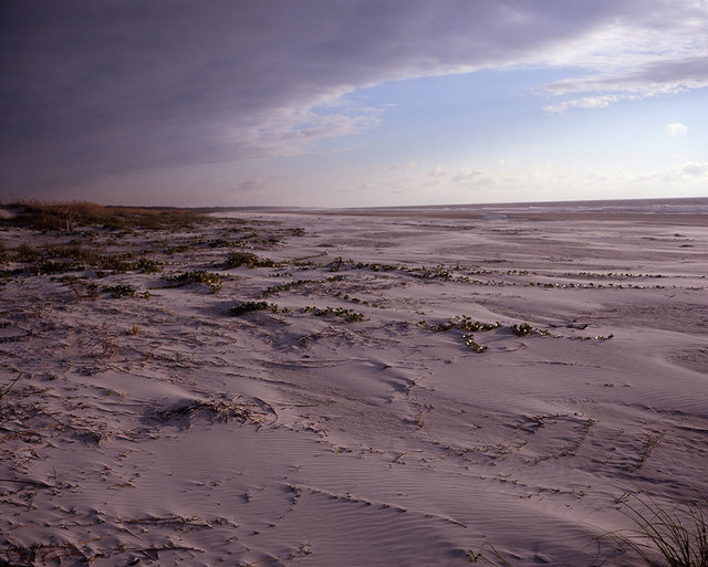05_greyfieldbeach5 copy.jpg