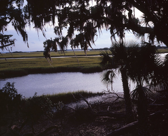 11_saltmarsh3 copy.jpg