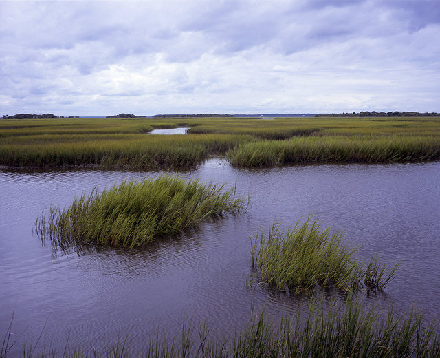 09_saltmarsh11 copy.jpg