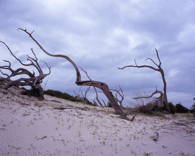 10_saltmarshtrail18 copy.jpg