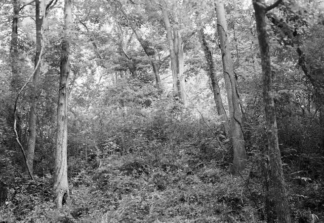 Lamar Spiral Mound, Macon, Georgia – 2004